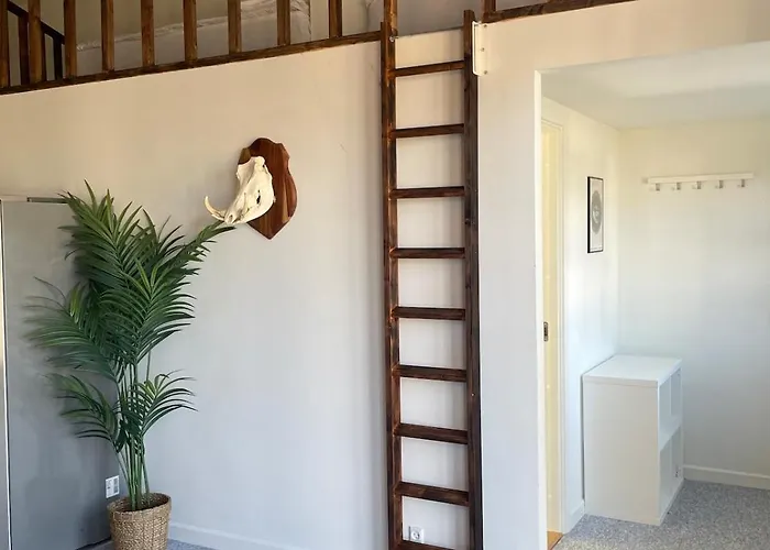 3 In Country Apartament