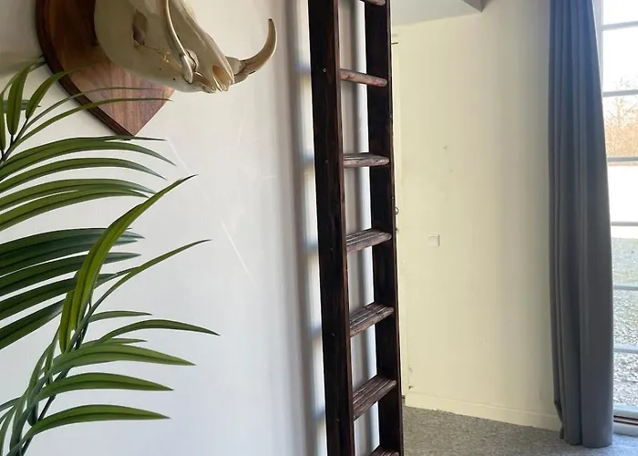 3 In Country Apartament